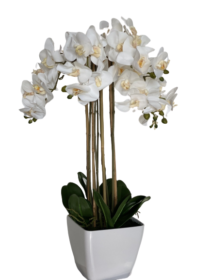 orhidee-artificiala