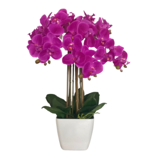 orhidee-artificiala