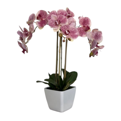 Orhidee-artificiala