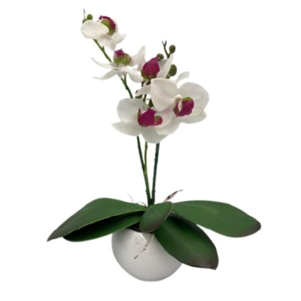 Orhidee-artificiala-albbordo-in-bol-ceramic